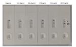 SARS-CoV-2 Spike Protein S1 Chimeric Antibody in Lateral Flow (LF)