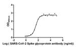 SARS-CoV-2 Spike Protein S1 Chimeric Antibody in ELISA (ELISA)