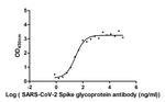 SARS-CoV-2 Spike Protein S1 Chimeric Antibody in ELISA (ELISA)