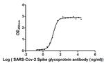 SARS-CoV-2 Spike Protein S1 Chimeric Antibody in ELISA (ELISA)