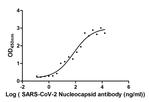 SARS-CoV-2 Nucleocapsid Chimeric Antibody in ELISA (ELISA)