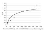 SARS-CoV/SARS-CoV-2 Nucleocapsid Antibody in ELISA (ELISA)