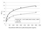 SARS/SARS-CoV-2 Spike Protein S2 Antibody in ELISA (ELISA)