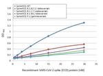 SARS/SARS-CoV-2 Spike Protein S2 Antibody in ELISA (ELISA)