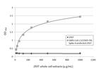 SARS/SARS-CoV-2 Spike Protein S2 Antibody in ELISA (ELISA)