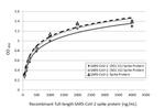 SARS/SARS-CoV-2 Spike Protein S2 Antibody in ELISA (ELISA)