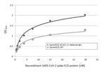 SARS/SARS-CoV-2 Spike Protein S2 Antibody in ELISA (ELISA)