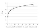 SARS/SARS-CoV-2 Spike Protein S2 Antibody in ELISA (ELISA)