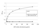 SARS/SARS-CoV-2 Spike Protein S2 Antibody in ELISA (ELISA)