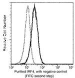 IRF4 Antibody in Flow Cytometry (Flow)