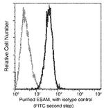 ESAM Antibody in Flow Cytometry (Flow)