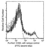 CD93 Antibody in Flow Cytometry (Flow)