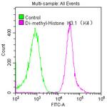 H3K4me2 Antibody in Flow Cytometry (Flow)