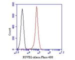 RUVBL2 Antibody in Flow Cytometry (Flow)