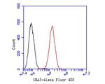 UBA3 Antibody in Flow Cytometry (Flow)