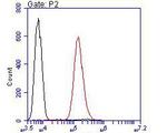 ROBO1 Antibody in Flow Cytometry (Flow)