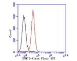 DNMT1 Antibody in Flow Cytometry (Flow)