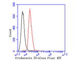 Cytokeratin 20 Antibody in Flow Cytometry (Flow)