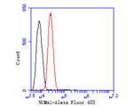 NuMA Antibody in Flow Cytometry (Flow)