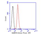 GADD34 Antibody in Flow Cytometry (Flow)