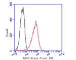 BAG2 Antibody in Flow Cytometry (Flow)