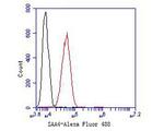 SAA4 Antibody in Flow Cytometry (Flow)