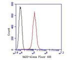 MAD3 Antibody in Flow Cytometry (Flow)