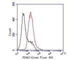 PSMA2 Antibody in Flow Cytometry (Flow)