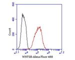 WNT5B Antibody in Flow Cytometry (Flow)