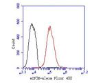 eIF3b Antibody in Flow Cytometry (Flow)