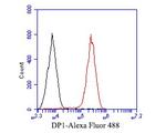 DP1 Antibody in Flow Cytometry (Flow)