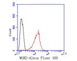 MSH2 Antibody in Flow Cytometry (Flow)