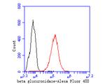 beta glucuronidase Antibody in Flow Cytometry (Flow)