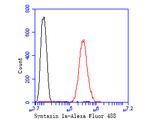 Syntaxin 1 Antibody in Flow Cytometry (Flow)