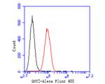 GOT2 Antibody in Flow Cytometry (Flow)