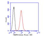 VEGFD Antibody in Flow Cytometry (Flow)