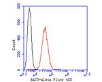 BAT3 Antibody in Flow Cytometry (Flow)