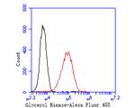 Glycerol kinase Antibody in Flow Cytometry (Flow)