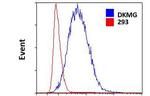 EGFRvIII Antibody in Flow Cytometry (Flow)