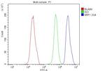 NRF1 Antibody in Flow Cytometry (Flow)