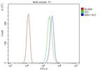 BAK1 Antibody in Flow Cytometry (Flow)