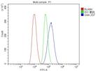 GAA Antibody in Flow Cytometry (Flow)