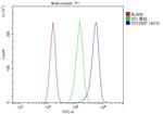 PDCD6IP Antibody in Flow Cytometry (Flow)