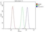 CFL2 Antibody in Flow Cytometry (Flow)