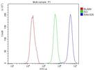 Ran Antibody in Flow Cytometry (Flow)