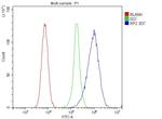 RP2 Antibody in Flow Cytometry (Flow)