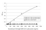 SARS-CoV-2 Spike Protein S1 Antibody in ELISA (ELISA)