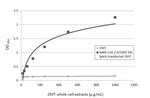 SARS-CoV-2 Spike Protein S1 Antibody in ELISA (ELISA)