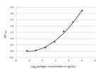 beta Amyloid (1-42) Antibody in ELISA (ELISA)