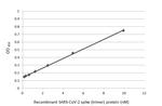 SARS-CoV-2 Spike Protein S1 Antibody in ELISA (ELISA)